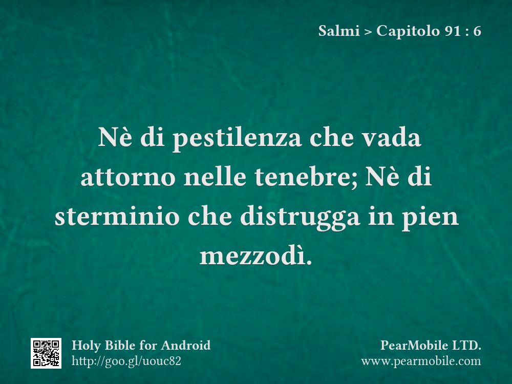 Salmi, Capitolo 91:6
